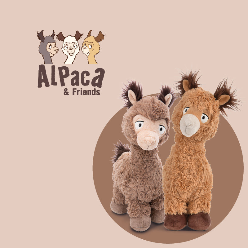 Alpaca & Friends