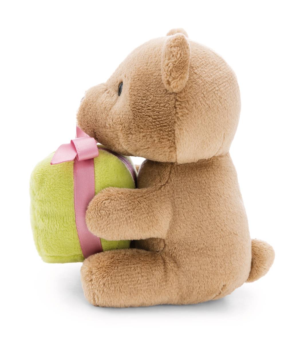 NICI Kuscheltier Bär braun mit grünem Geschenk