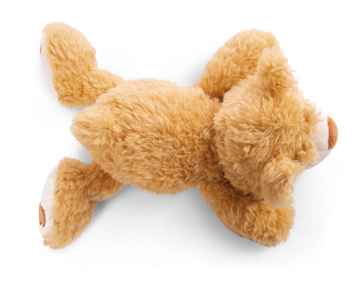 NICI Kuscheltier Bär Mielo liegend
