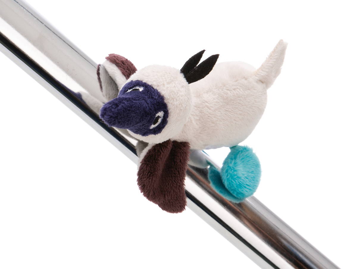 NICI Magnici Blaufusstölpel Sula