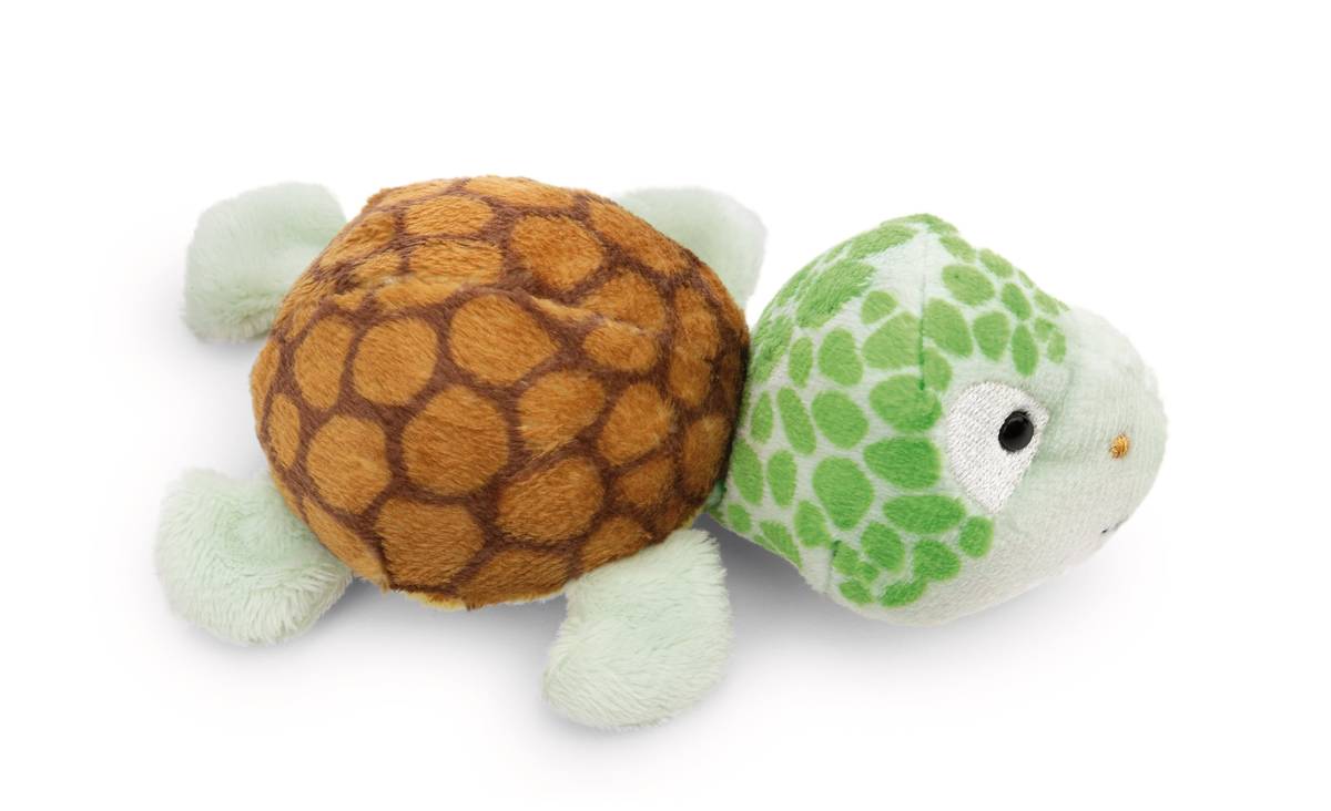 NICI Magnicis Schildkröte