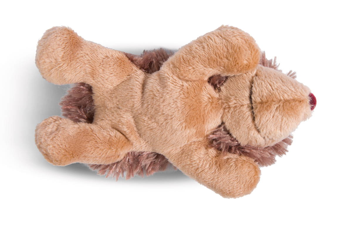 NICI Magnici Igel Hetch Hogan