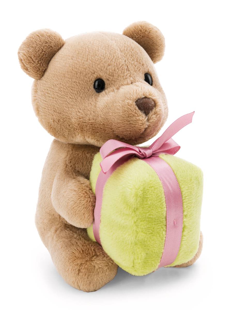 NICI Kuscheltier Bär braun mit grünem Geschenk