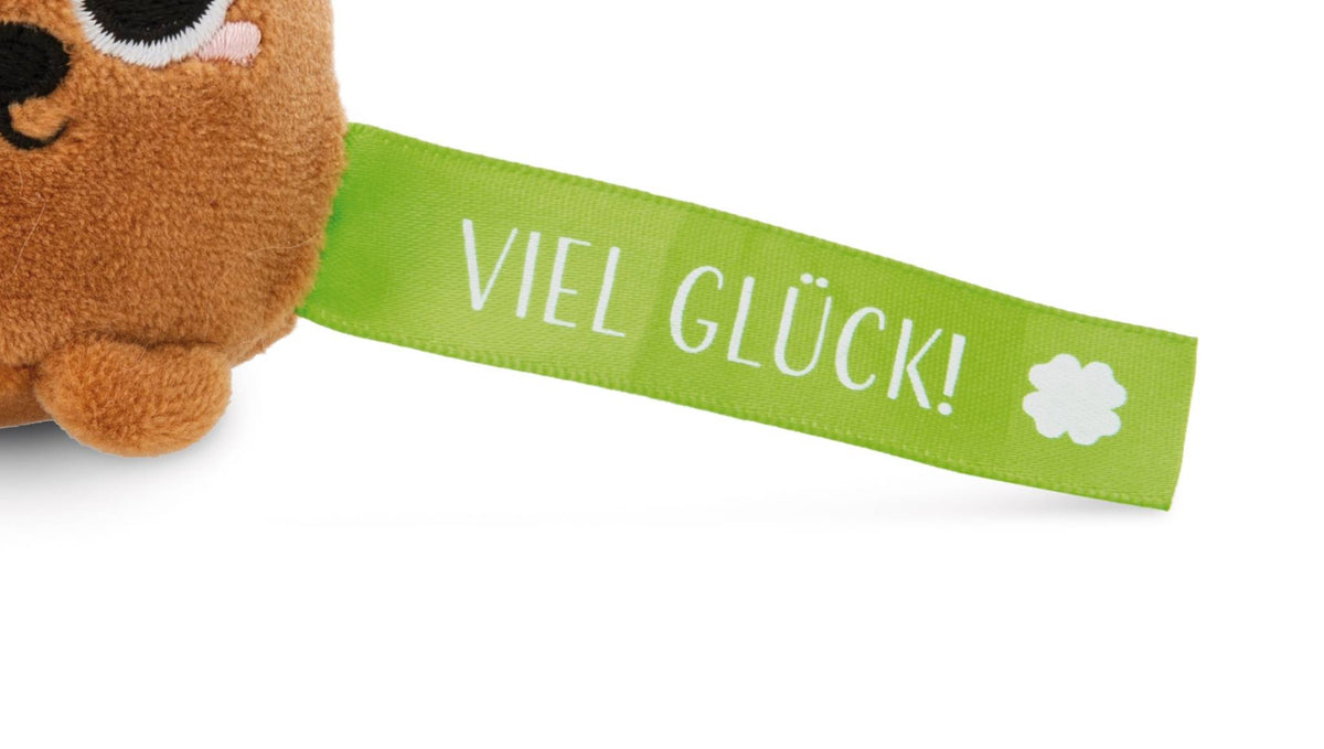 NICI Schlüsselanhänger  Bär „Viel Glück!“