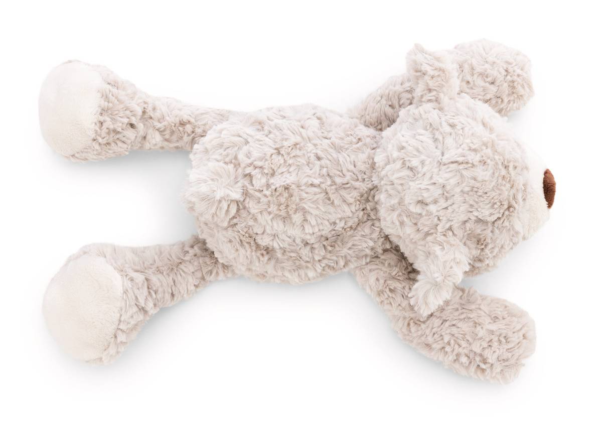 NICI Kuscheltier Bär Finni liegend