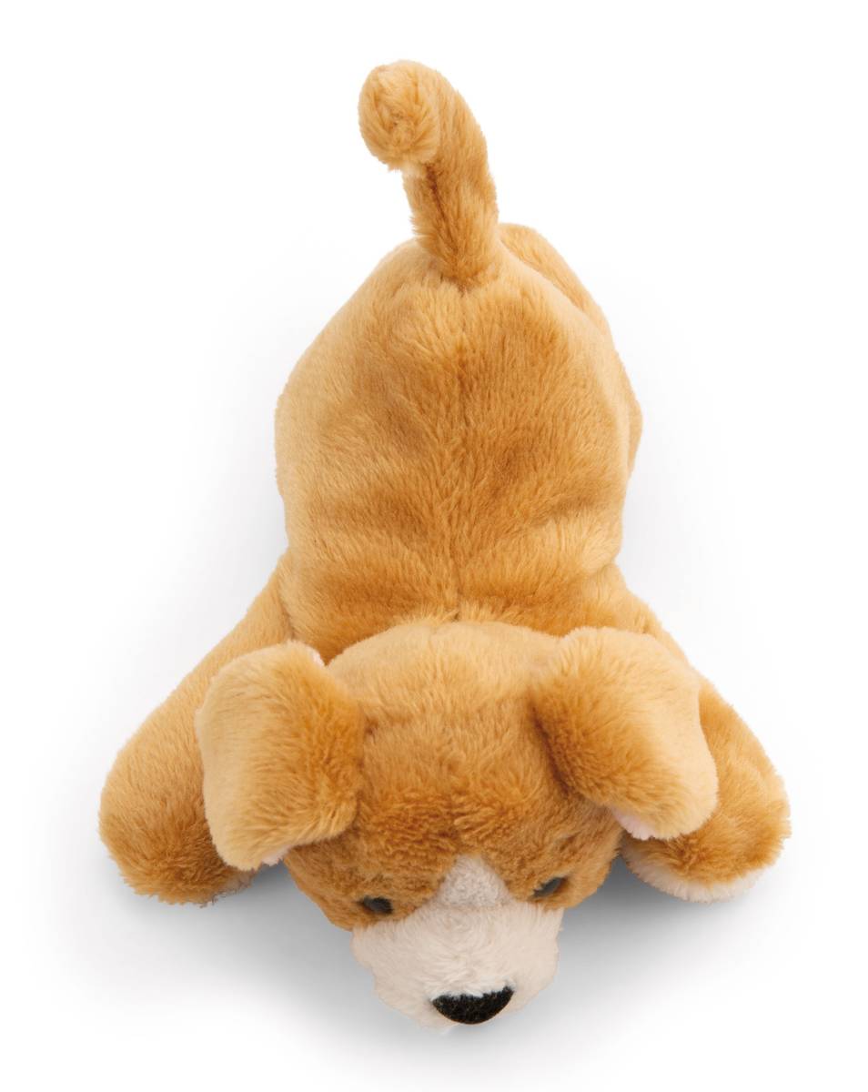 NICI Magnici Hund Braun