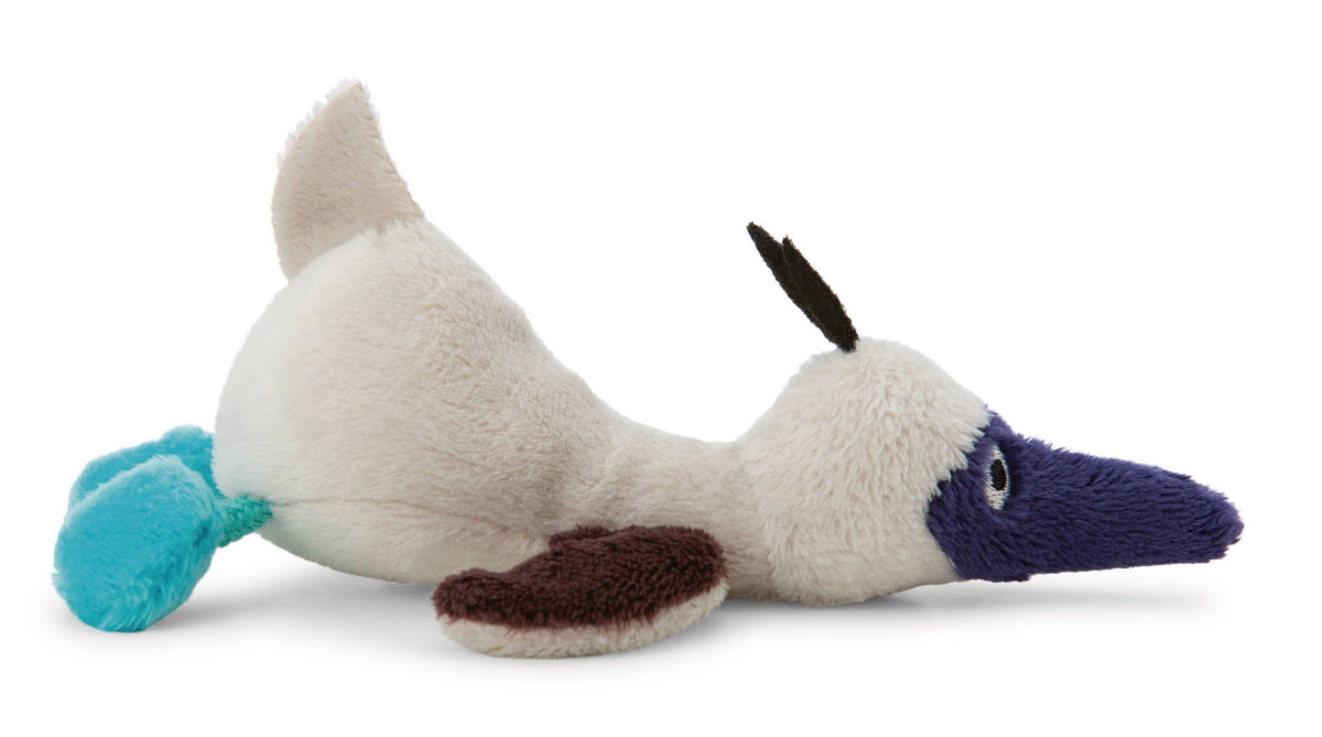 NICI Magnici Blaufusstölpel Sula