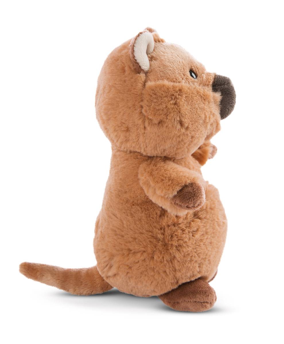 NICI Kuscheltier Quokka Quokka-Mola