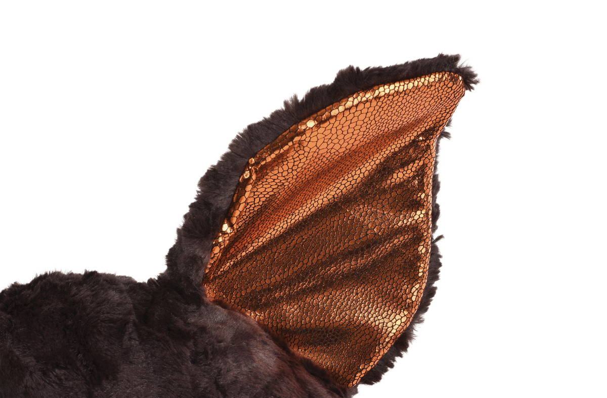 GLUBSCHIS Kissen Fledermaus Wakiki