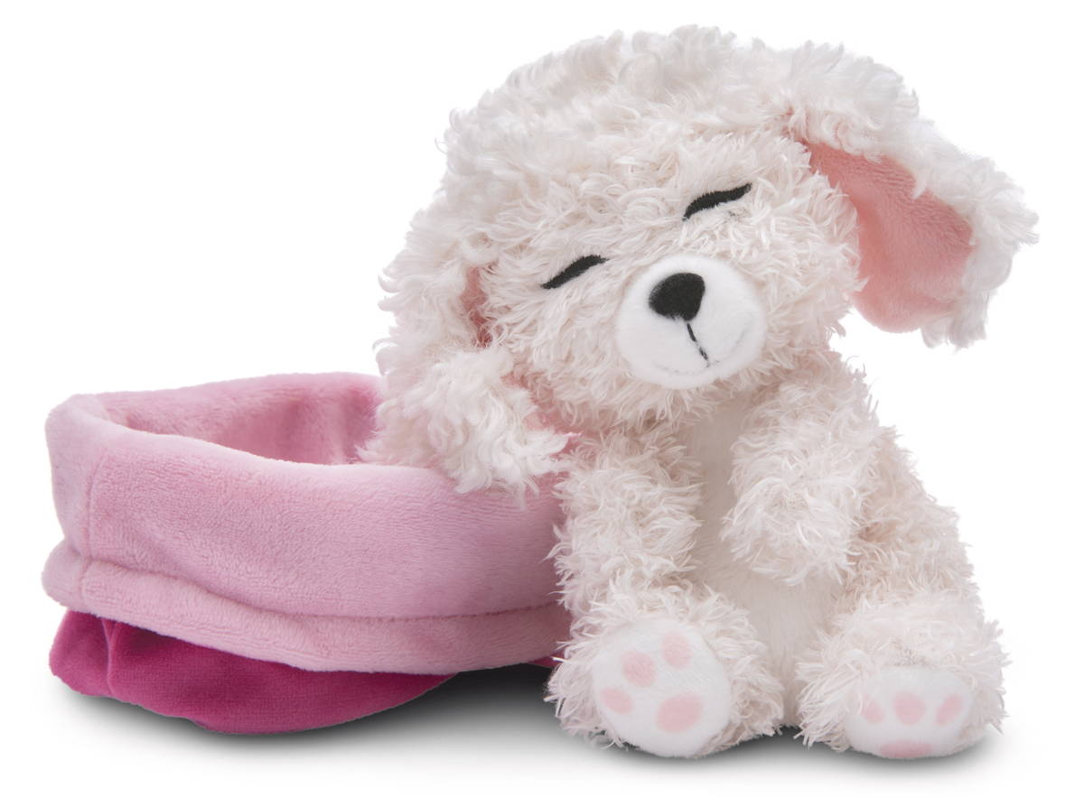 NICI Kuscheltier Hund Pudel weiss schlafend