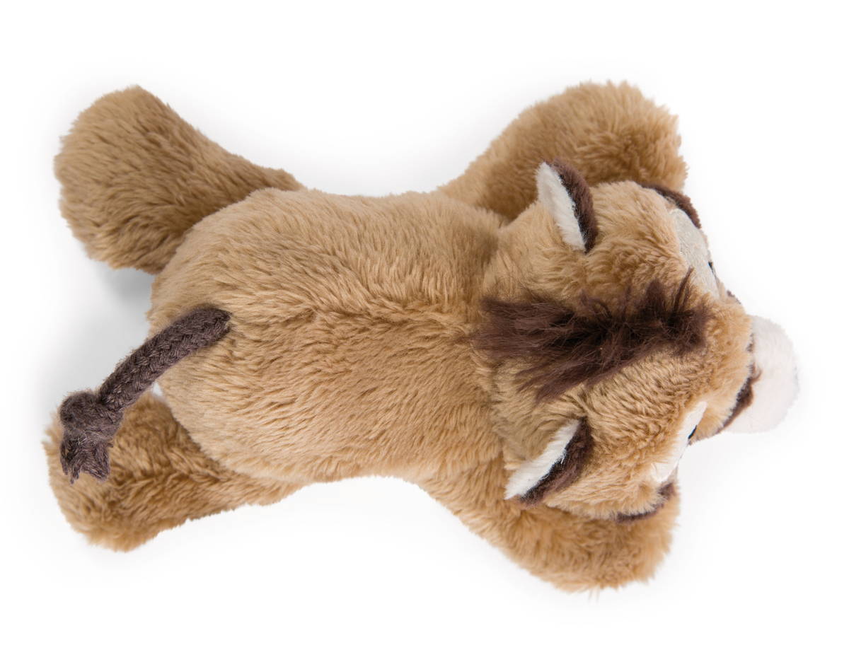 NICI Magnici Nasenbär Coaty