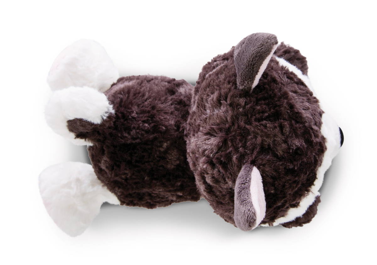 GLUBSCHIS Kuscheltier Husky Barkley liegend