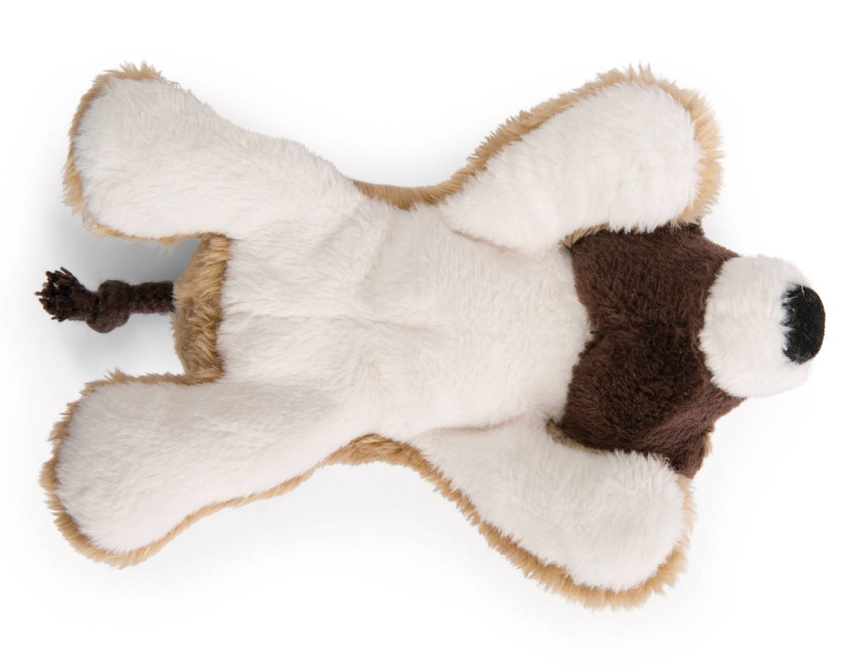 NICI Magnici Nasenbär Coaty