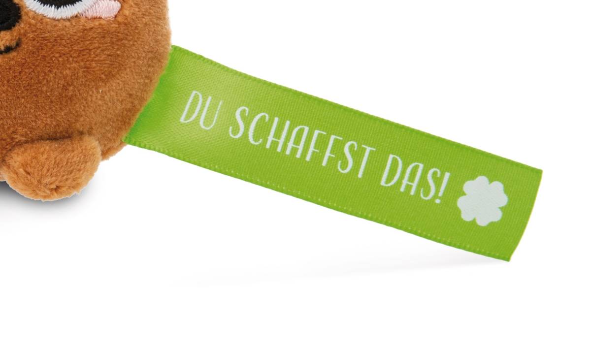 NICI Schlüsselanhänger  Bär „Du schaffst das!“